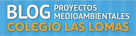 Blog Colegio las Lomas