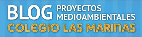Blog PM Colegio las Marinas